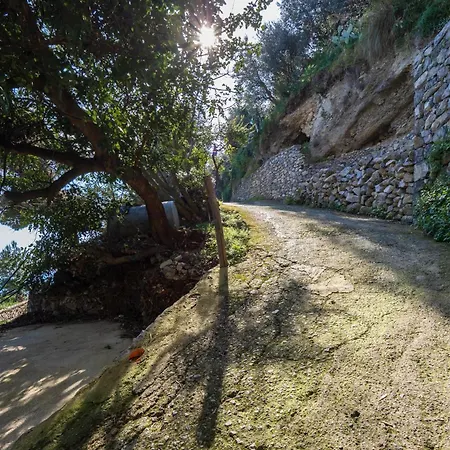Seacliff Heaven - De Vivo Realty Positano * Arola (Campania)